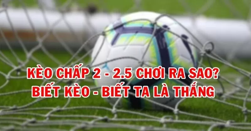 Kèo chấp 2.5 là một kèo giữa đội yếu và đội mạnh vượt trội Kèo chấp 2.5 là một kèo giữa đội yếu và đội mạnh vượt trội