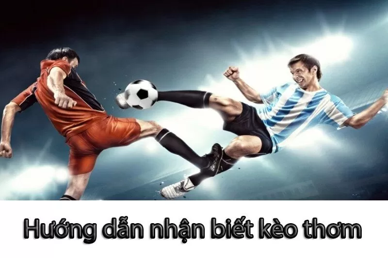 Cách chọn kèo thơm nâng cao hiệu quả cho người chơi